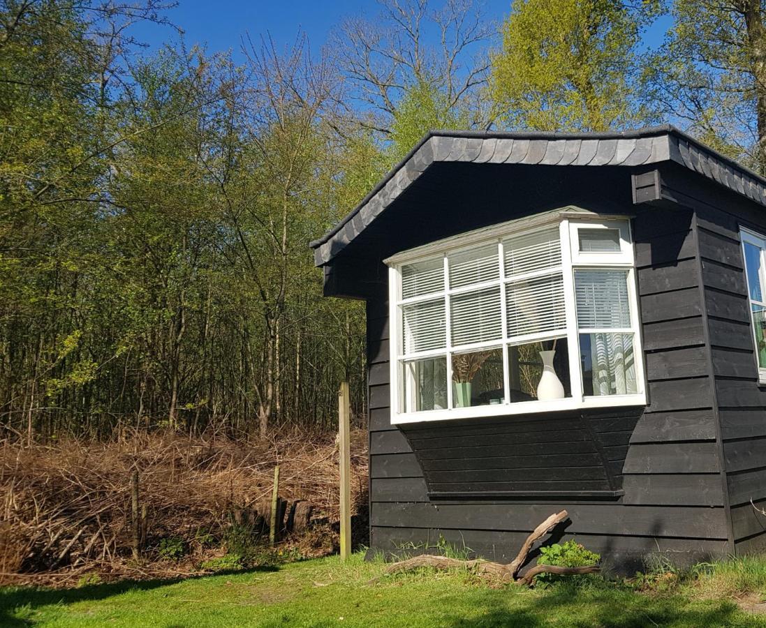 Chalet 2 Pers Met Hottub - Aan De Bosrand - Ijsselmeer - Gaasterland - Bos Рейс Экстерьер фото